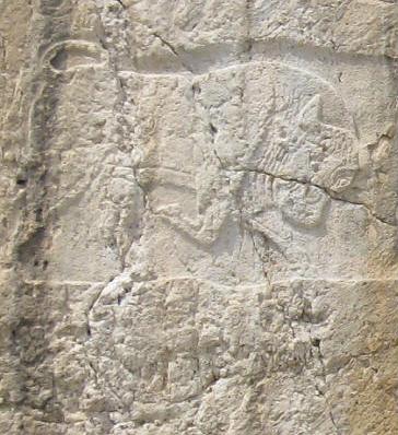 LEAD Technologies Inc. V1.01