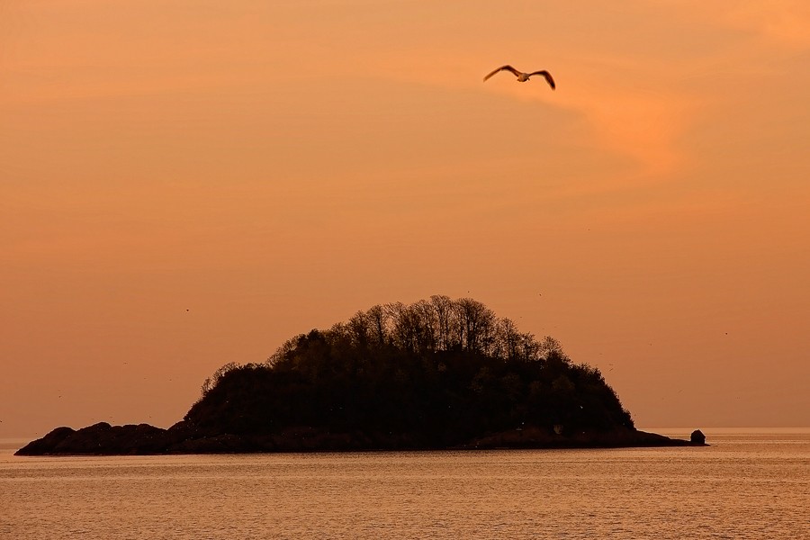 η νήσοςο του Άρη..