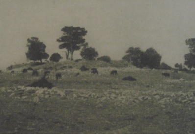 ο χώρος του βωμού του Διός Στρατίου (2)